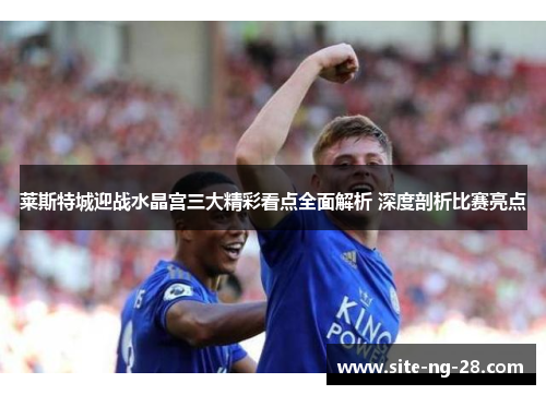 莱斯特城迎战水晶宫三大精彩看点全面解析 深度剖析比赛亮点