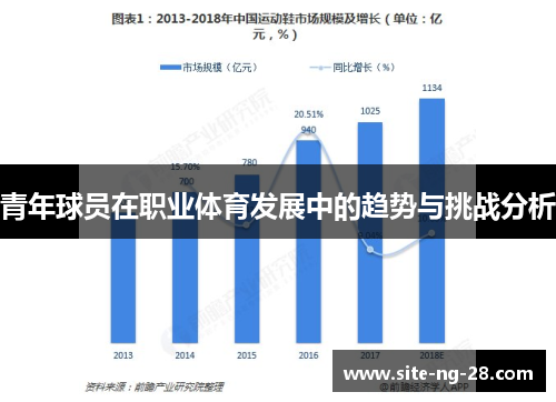 青年球员在职业体育发展中的趋势与挑战分析